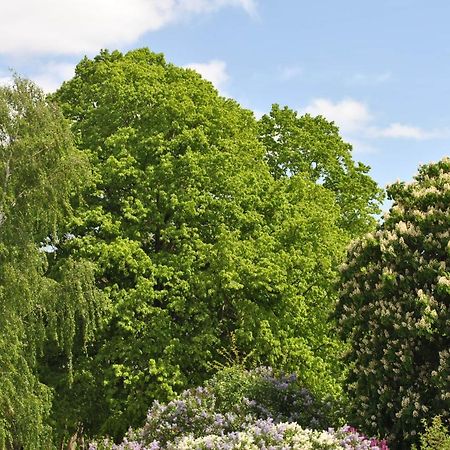 Ferienwohnungen Am Plaetlinsee Wustrow  エクステリア 写真